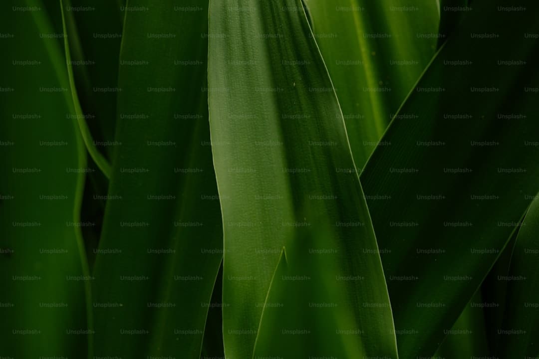 医药“暖春”悬而未决：临床需求与商场周期博弈之解在哪？